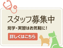 スタッフ募集中